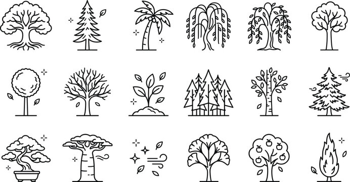 Nature forest and botanical garden tree species icon set with pine palm oak bonsai line art illustration landscape