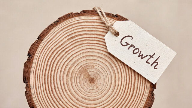Natural business growth concept representing organic expansion progress and long term development through gradual sustainable stages over time