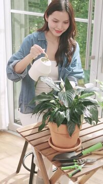 A happy young Asian woman watering her indoor plants with a small watering can near a bright window.