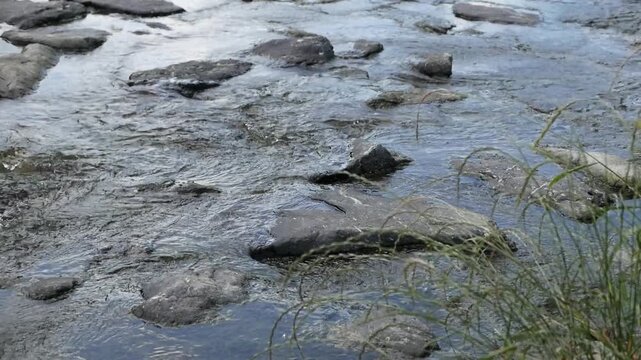 Peaceful mountain stream water flowing over river rocks, ambient sound included