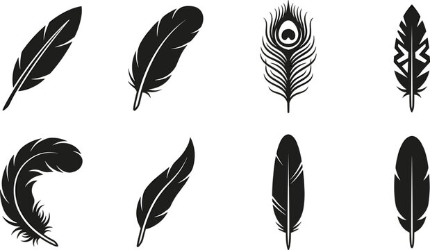 Bird feather and vintage quill black glyph icon set for lightweight soft graphic design