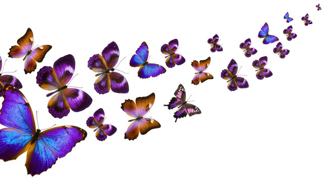 Collection of colorful butterflies in flight, isolated on transparent background