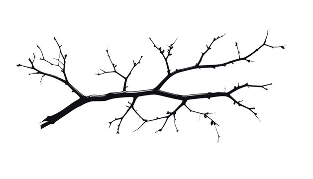 Black silhouette of a tree branch.