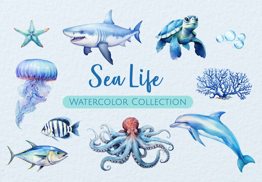 Vibrant Watercolor Sea Creatures Element Design Set