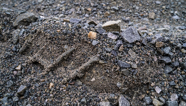 Close-up view of a distinct animal footprint impressed into a mixture of dark gravel and loose soil on the ground.