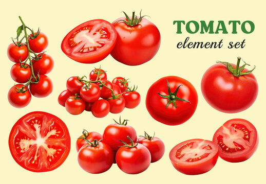 Vibrant Tomato Illustrations Element  Design Set