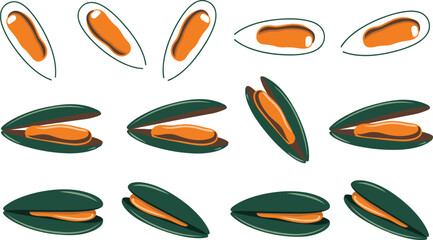 Fresh Green Mussel Seafood Vector Set with Opened Shells and Orange Meat for Seafood Restaurant Menus, Culinary Blogs, and Ocean Food Packaging Designs © KP Studio