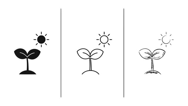 Three distinct seedling growth stages under a stylized sun icon representing different illustration styles