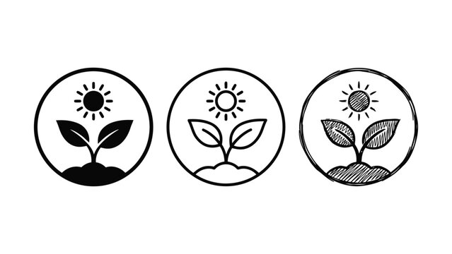 Three different styles of a sprout growing from soil under the sun graphic icons