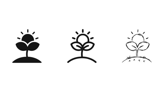 Three different styles of a sprouting seedling with the sun rising above it representing growth and new beginnings