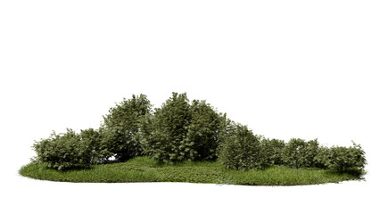 Fototapeta na wymiar A cluster of green trees is located on a patch of grass under a clear sky. The scene shows wide open space and little background detail. It is daytime with bright light. 3d render