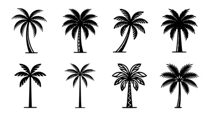 Obraz premium Palm Trees in Various Styles and Designs Featuring Tree, Tropical, Beach with Vacation and Summer Elements for Nature, Plant