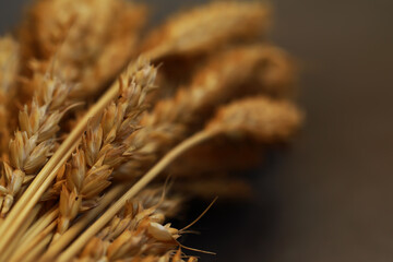 Obraz premium Close-up of Golden Wheat Ears on a Rustic Wooden Table