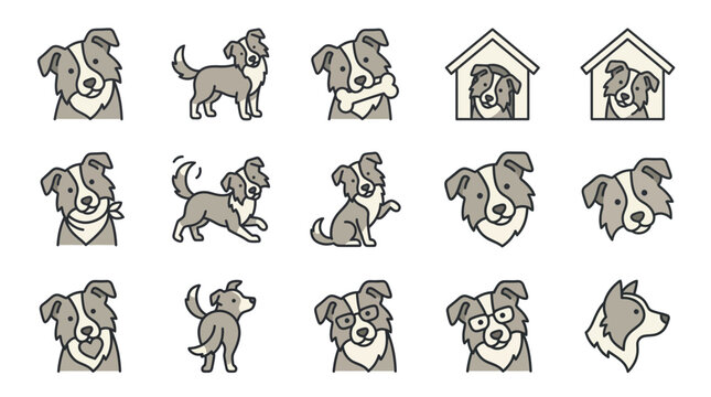 Set of cute border collie dog icons and illustrations