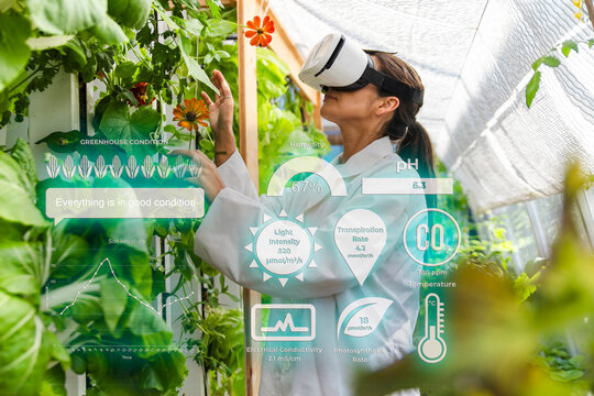 Woman examines plant with virtual reality hologram in greenhouse