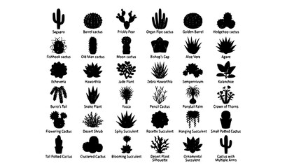 Black and White Cactus Silhouette Vector Set with Desert Succulents Agave Aloe and Potted Plants Collection © Sojib