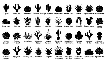 Desert Cactus and Succulent Black Silhouette Vector Collection with Botanical Plant Icons © Sojib