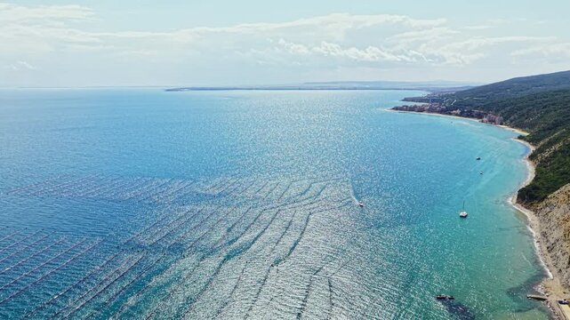A view of a mussel farm near the coast, with rows of mussel lines appearing in the water. Boats are visible in the distance, and the sky is clear.