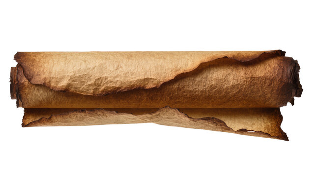 Rolled ancient burnt parchment scroll with rough edges, isolated on transparent background