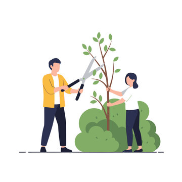 Professional vector illustration depicting horticultural maintenance where gardening tools are used to prune excess branches from a healthy green tree or backyard shrubbery.