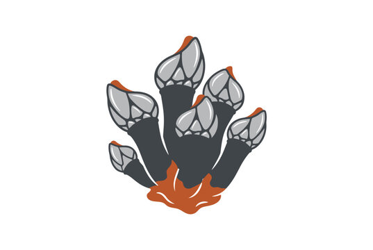 A cluster of goose barnacles illustrated in a simple style