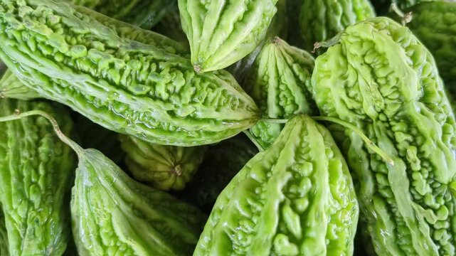 Fresh close up bitter melon 