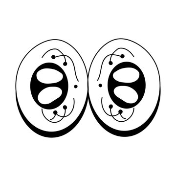 A hand drawn illustration depicting cell division