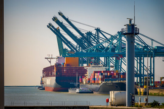 View on the cranes of PSA port operator Noordzee terminal in the port of Antwerp-Bruges, Belgium