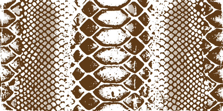 Detailed snake skin texture with brown and green pattern
