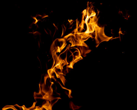 Vibrant flames dance against a deep black backdrop