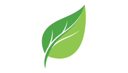 Fototapeta premium Minimalist vector illustration of a single green leaf with delicate veins on a clean white background.