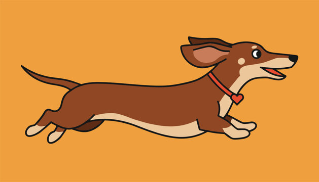 Adorable dachshund dog with long ears running fast in joy against a solid orange background vector.