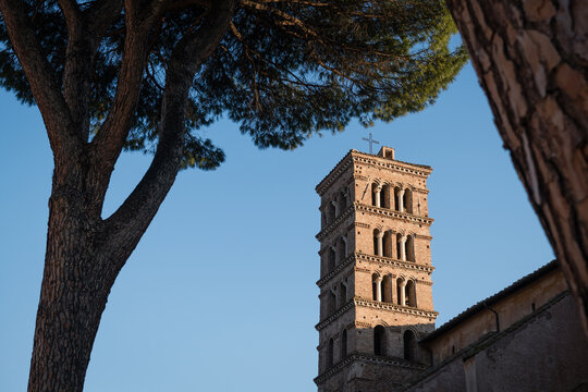 The medieval Romanesque bell tower of the Basilica of Sant'Alessio framed by pine trees in the Garden of Sant'Alessio on Aventine Hill in Rome, Italy