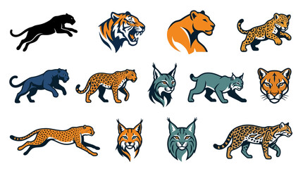 Collection of wild cat species. © Wawan