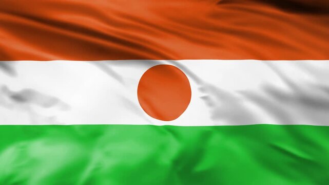 Waving flag of Niger blowing in wind patriotic national emblem.