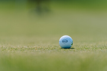 Fototapeta premium Close-up of a golf ball resting on green grass with blurred background, showcasing the brand logo and surface texture