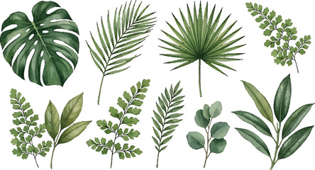 Obraz premium Watercolor tropical leaves collection featuring monstera palm fern and eucalyptus foliage for botanical design and nature projects