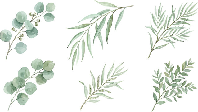 Watercolor botanical greenery collection featuring eucalyptus and willow branches for wedding invitations and natural floral design projects