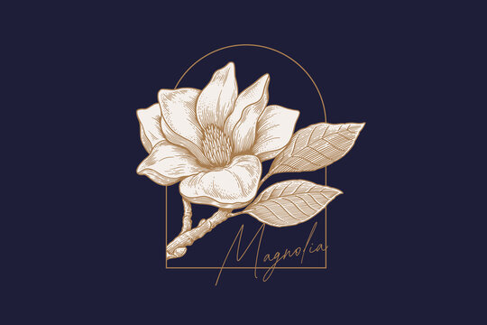 Magnolia flower with leaves on a branch in an elegant vintage engraved style. Botanical illustration for invitations, branding, packaging, wall art, stationery, and floral designs.