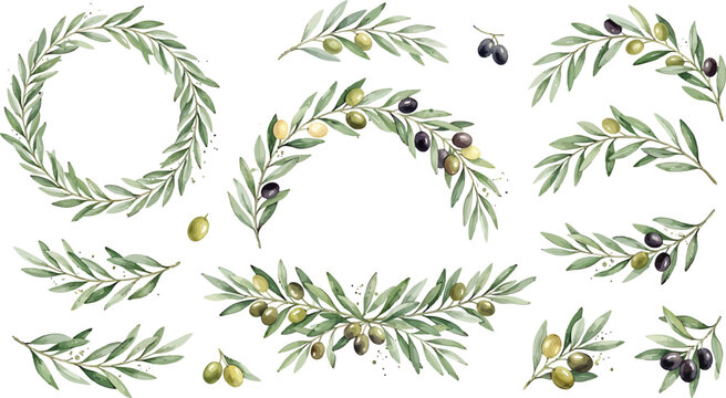 Watercolor olive branch collection with wreaths and decorative foliage elements for organic design and wedding stationery projects