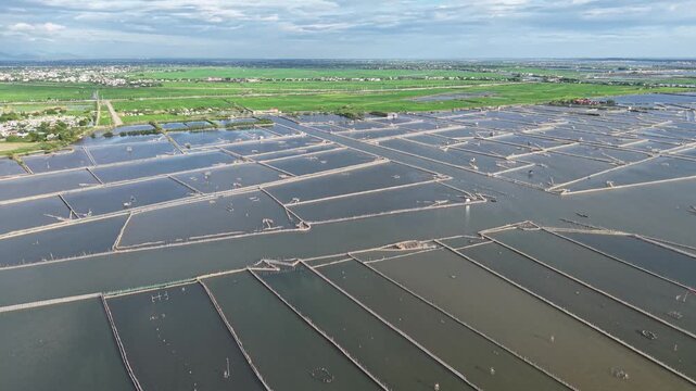 Close aerial captures vibrant green aquaculture ponds with workers or small boats tending the farming areas on the shallow lagoon waters.