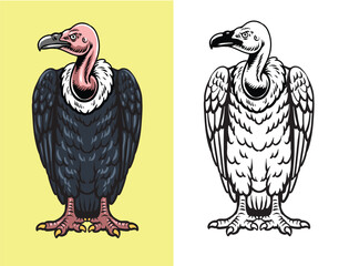 Vintage style detailed hand drawn graphic of a standing vulture scavenger bird in colored and monochrome outline versions © harrisaputra