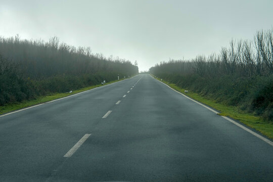 Strasse im Nebel auf der Hochebene von Madeira