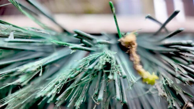 Macro view focusing on the detailed texture and movement of green plastic bristles on a brush