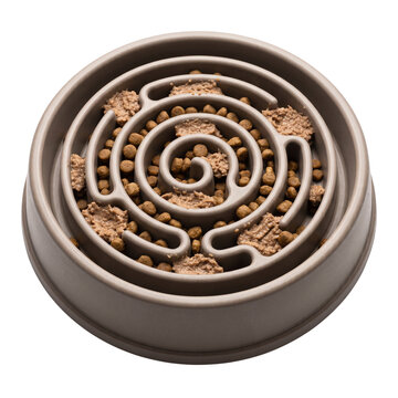 Isolated slow feeder dog bowl filled with dry kibble and wet canned food to prevent bloating, healthy pet digestion, cognitive mental stimulation