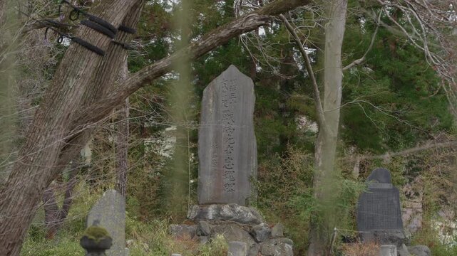 Weathered stone monument with carved Japanese kanji among tall cedar trees in Japan