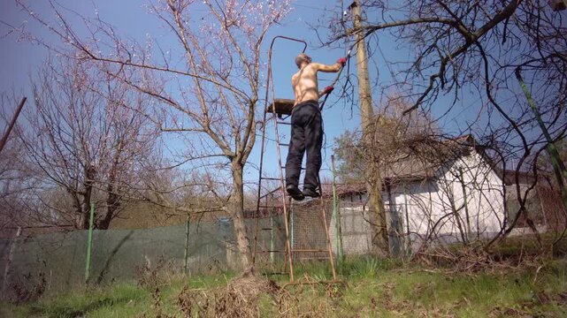 Male gardener cutting tree branches from the electrical cable area Man pruning branches near power lines using ladder highlighting electrical safety maintenance