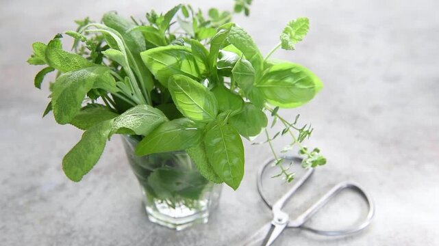 Fresh aromatic culinary herbs in a glass
