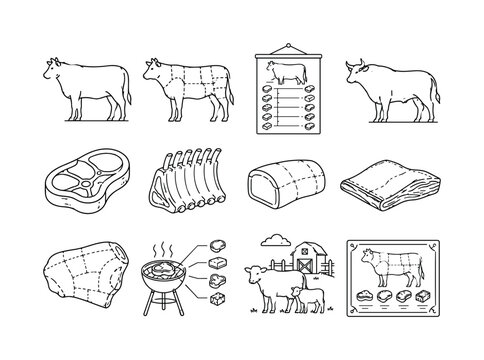 Beef Cuts Chart, line icon set, create 12 clean outline icons in a 4x3 layout showing cow silhouette, butcher cuts diagram, beef chart, bull profile, steak cut, rib section, sirloin label block