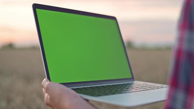 Woman holding laptop with green screen in wheat field for chromakey content. Laptop supports mockup presentation, blank display, customizable digital interface for business, agriculture, marketing use
